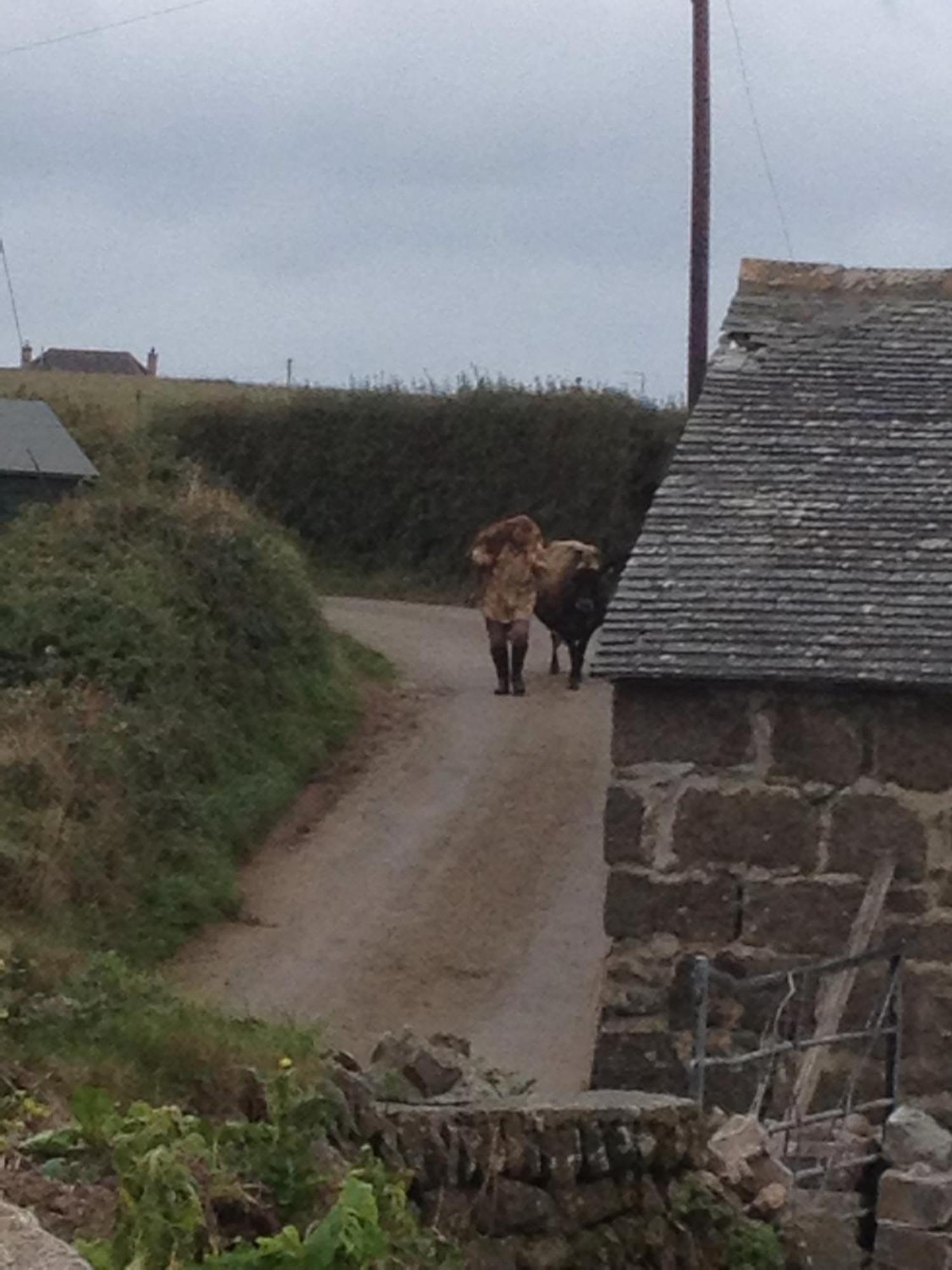 Trengothal Barn Lejlighed Porthcurno Eksteriør billede