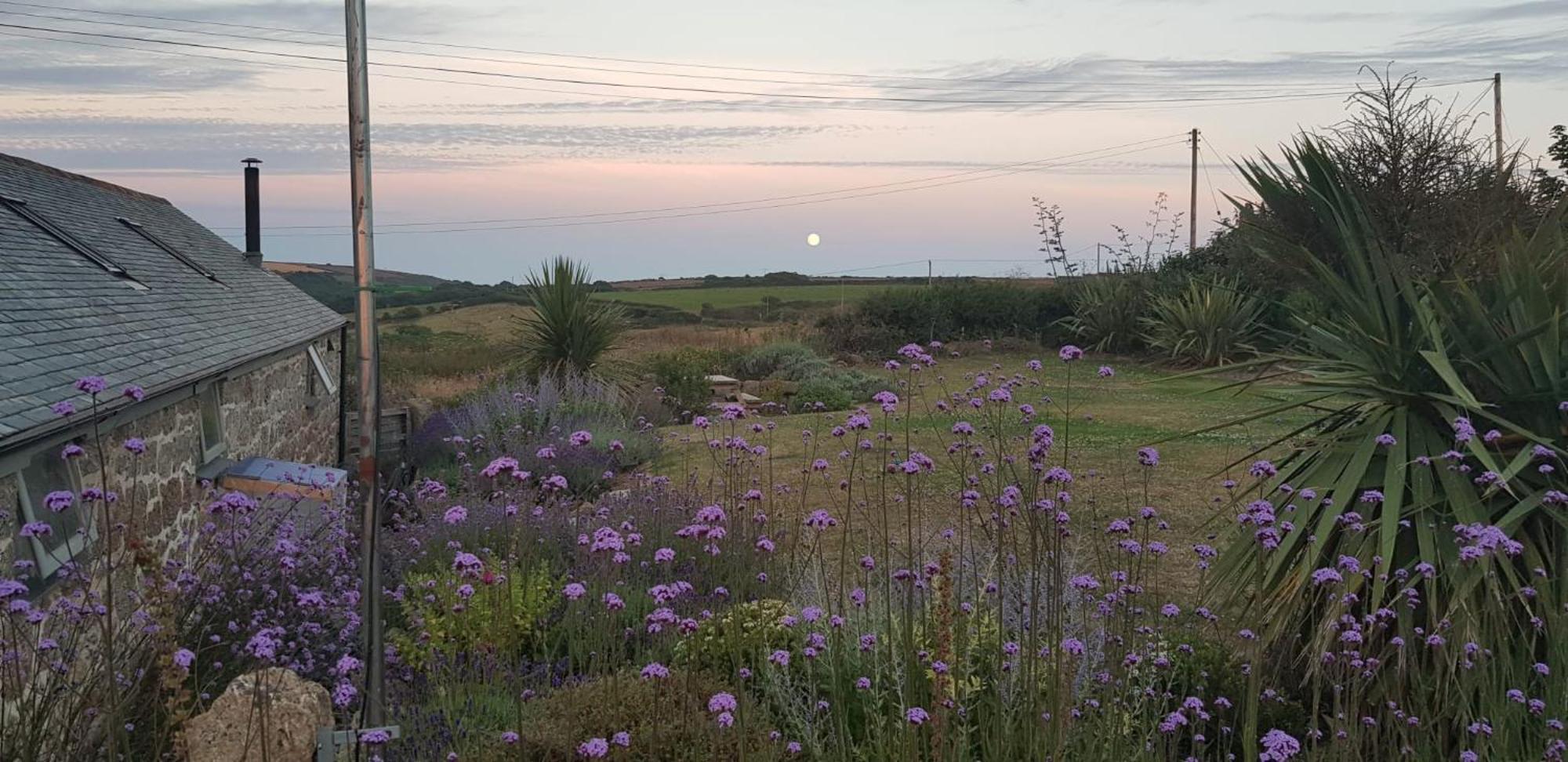 Trengothal Barn Lejlighed Porthcurno Eksteriør billede