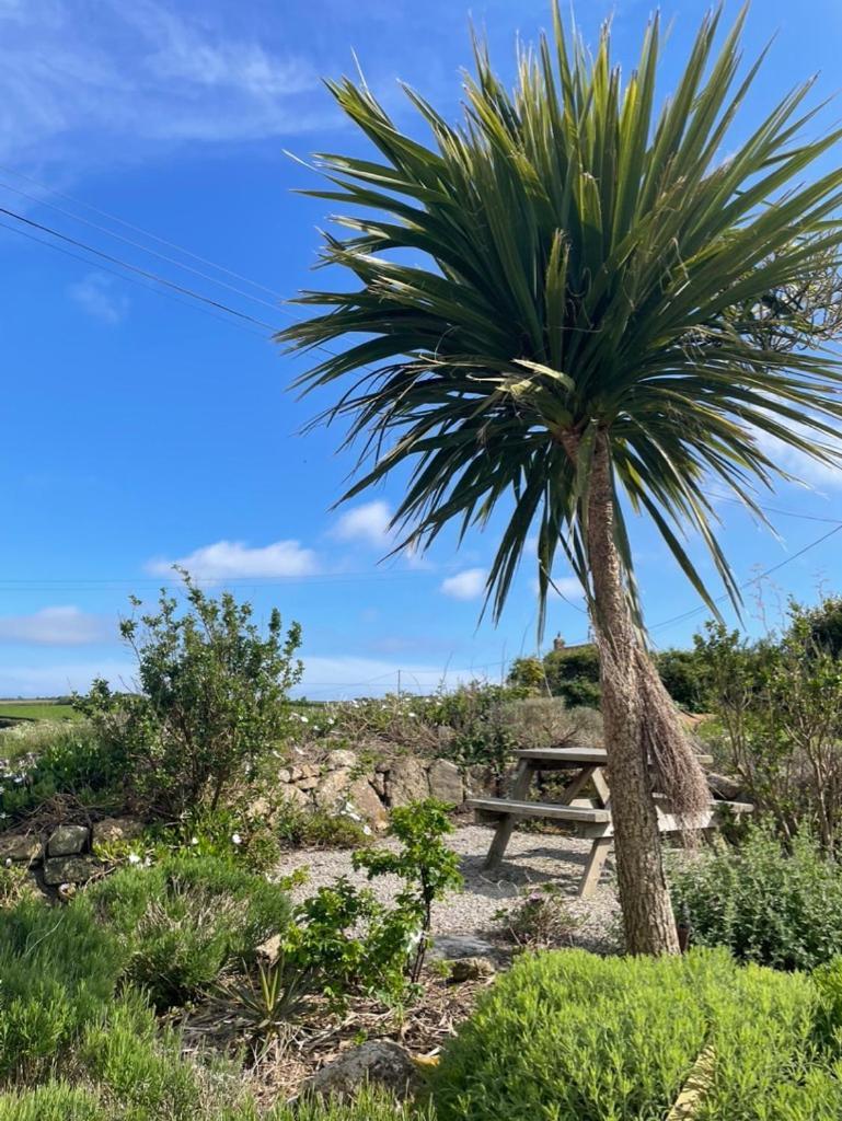 Trengothal Barn Lejlighed Porthcurno Eksteriør billede